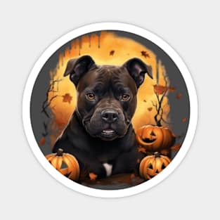 Staffordshire Bull Terrier Halloween Magnet